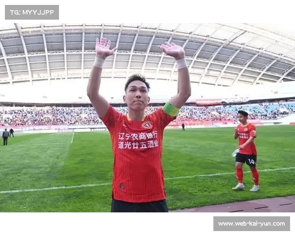 辽宁铁人热菲尼奥瓦吉奇一攻一守 升班马外援配置冲击亚冠区